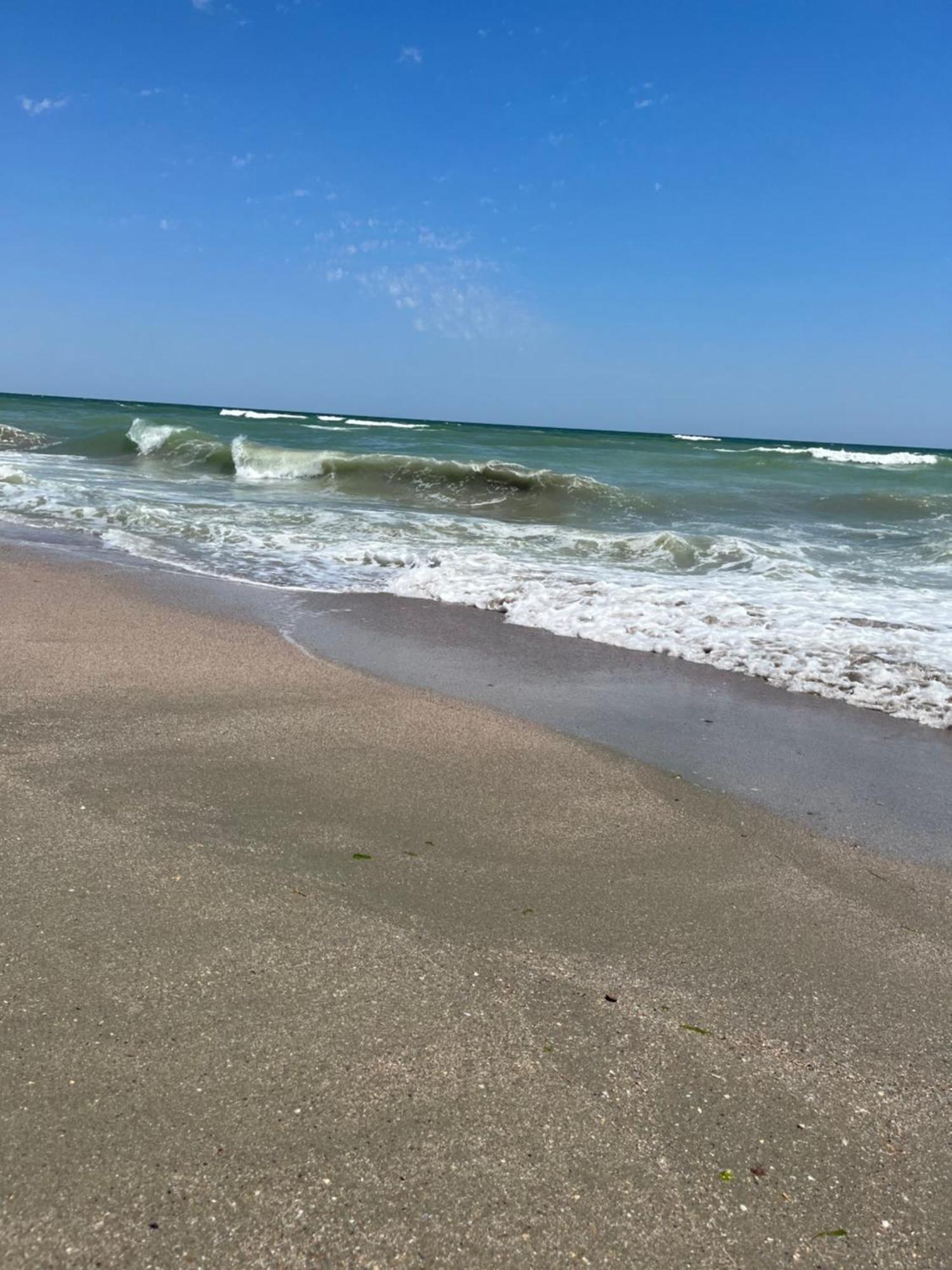 Fratellyvibe Mamaia Apartment Bagian luar foto